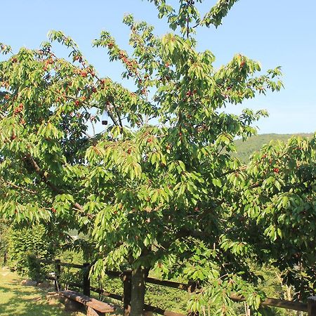 B&B Il Poggetto Serra SantʼAbbondio Buitenkant foto