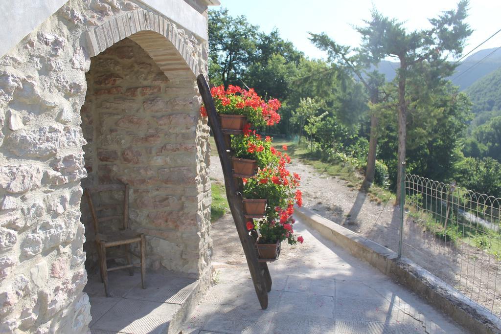 B&B Il Poggetto Serra SantʼAbbondio Buitenkant foto